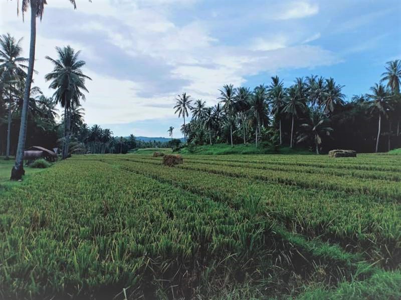 fltabanan42
